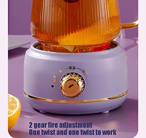 Tetera eléctrica de vidrio 600ml multi-función morada miniatura 4