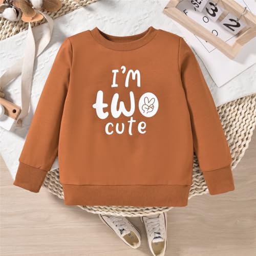 Toddler Boy Birthday Outfit Two/Three/Four/Five/Six Sweatshirt Shirts Birthday Gift2