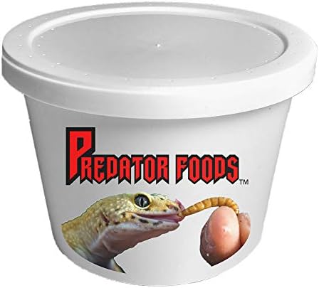 Predator Foods Bulk Live Mealworms - 1000 Count (Small - 0.25")