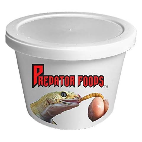 Predator Foods Bulk Live Mealworms - 250 Count (Medium ~.5") Cover