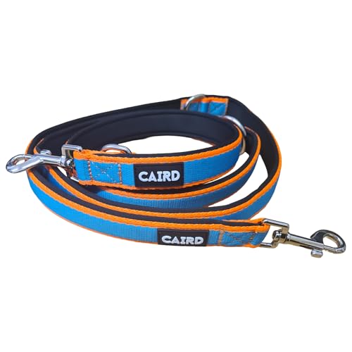 Laisse de dressage double CAIRD 2m réglable en nylon robuste