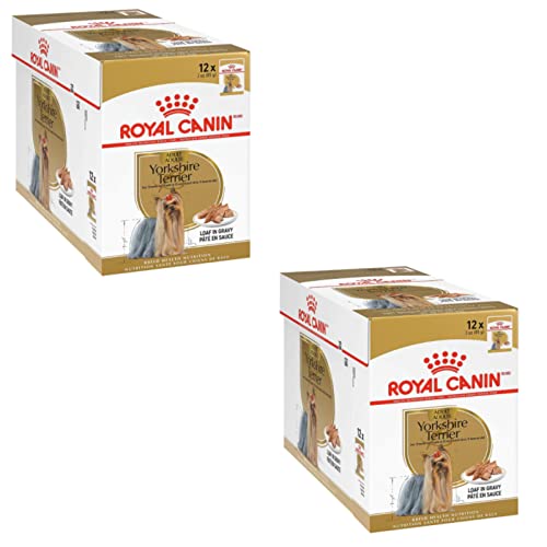 Royal Canin Yorkshire Terrier Adult | dwupak | 2 x 12 x 85 g | mokra karma dla dorosłych psów | od 10 miesiąca życia | do wspierania sierści i jakości krzesła