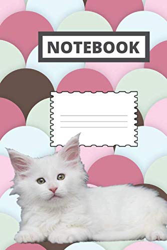 Notebook: Maine coon cat notebook for office