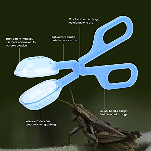 Braçadeira de alimentação de terrário anfíbio, design de fivela móvel Braçadeira de alimentação de r