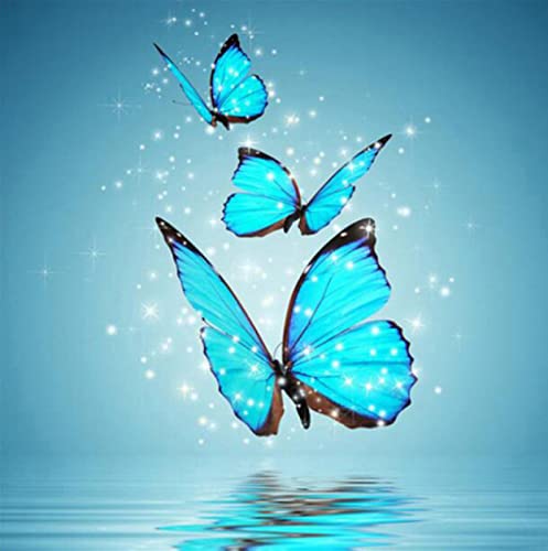 Peinture au diamant 5D kit papillon complet 30x40