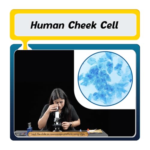 PW Science Experiment Kit For CBSE Class 9 | NCERT Aligned | Science Kit Including Detailed Video And Lab Manual | Physics And Chemistry Experiments | Developed By Expert Faculties