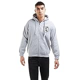  DC Comics Jl Shield Sudadera con Capucha, Gris, L para Hombre