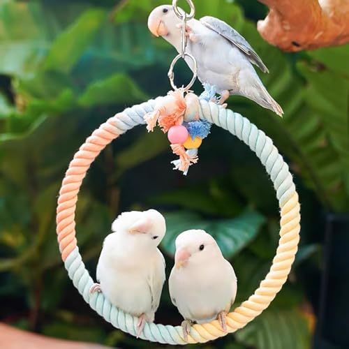 Image of 3 Pcs Bird Perch Rope Stand & Swing Ring Set Climbing Rope Playing Toys for Bird Cages Colorful Stand Perches for Parrots Lovebird Cockatiels