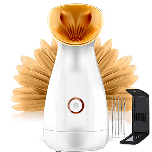 Top 10 Best Face Steamers in 2023 Reviews Buyer's Guide