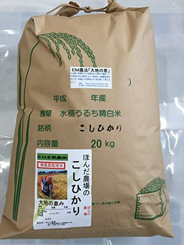 食用玄米 令和4年産 新米 石川県産 無農薬 こしひかり EM自然農法 大地の恵 玄米 (20kg)