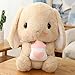 LDBJY Peluche Orecchio Kawaii Coniglio ravanello Coniglio Bianco Cuscino Morbido Grande Simpatico Peluche per Il Compleanno Regalo di Natale 22 cm E