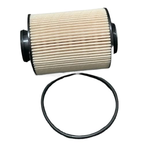 Filtre à carburant diesel pour Great Wall PAO et Wingle 7 2.0T