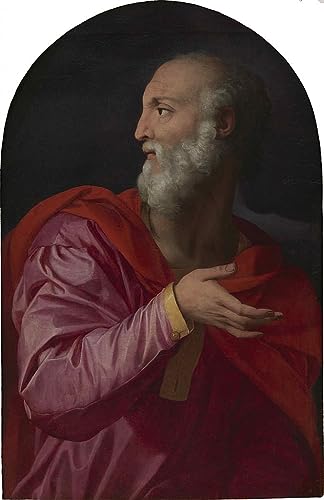 Image sur toile Saint Côme Agnolo Bronzino 60x90cm pour habiller un mur vide avec élégance
