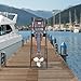 FiueStur Outboard Marine Engine Cart, Engine Mount, Multi-Purpose Storage Professional Heavy Duty Multi-Purpose Engine Mount, Carrying Cart for Workshop, Automotive, Marina, Etc