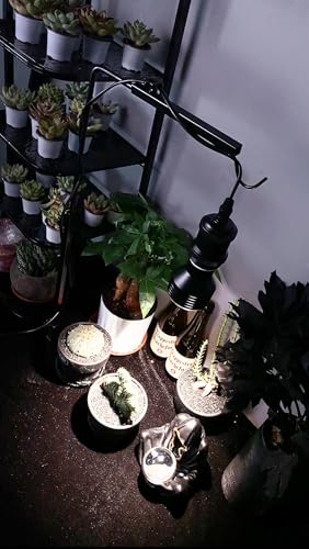 FSLIVING 植物育成スタンド A3-ZWD-SSB-DZ22X6-DP49 の商品画像 8