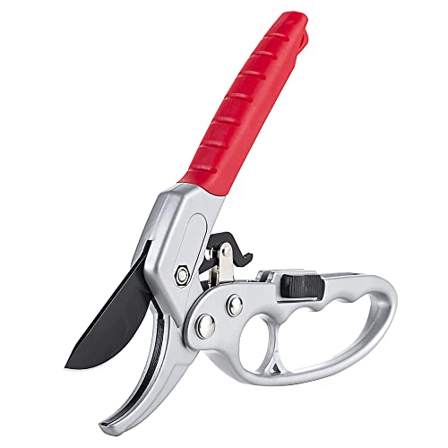 10 Best Garden Pruners For Arthritis Onsite Oil Field