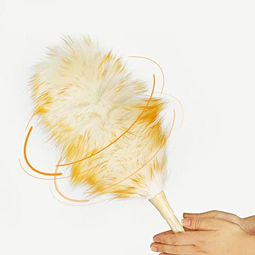 ͂ E[_X^[ قLb` ق nfB[_X^[ ق蕥 y ƒp |p |  G