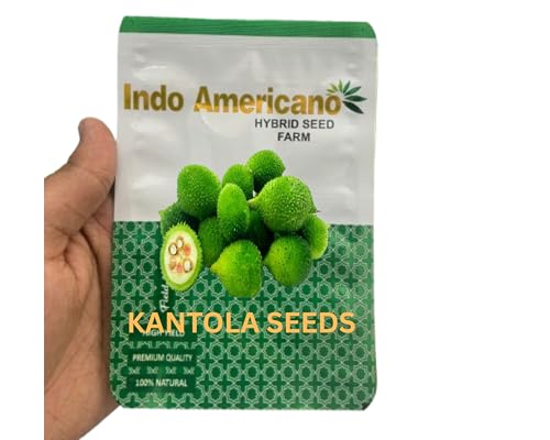 Kantola Seeds For Farming, Spine Guard Kakoda Seeds For Farmers 5...