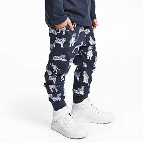 Image of HUAER& Baby Boy's Jogger Pants Dinosaur Car Animal Print Drawstring Elastic Sweatpants (1-Pack 2-Pack)