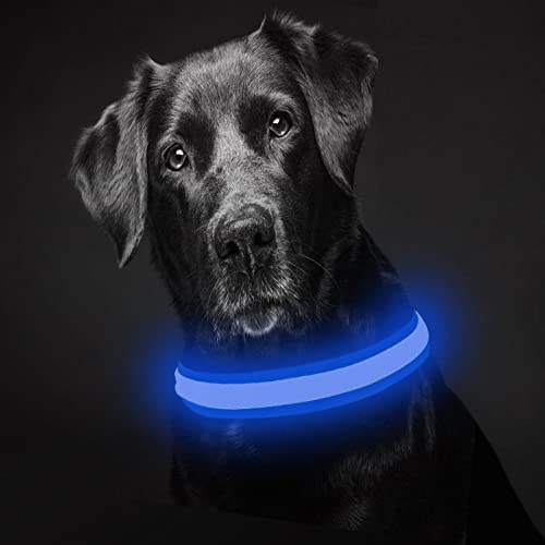 Collier lumineux pour chien dans l'obscurité, rechargeable par USB, réfléchissant, étanche, collier de sécurité clignotant pour la nuit, convient aux chiens de petite et moyenne taille (bleu, M) Cover