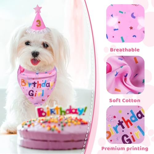 Geburtstagsmütze Schal-Set für kleine Hunde und Katzen, Bandana Katzen-Geburtstagshut mit Zahlen Katzen-Geburtstagslätzchen niedliches Haustier Geburtstags Partyzubehör (Rosa)