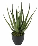 Flair Flower 151413 GN – Aloe I., plástico, Verde, 56 x 20 x 20 cm