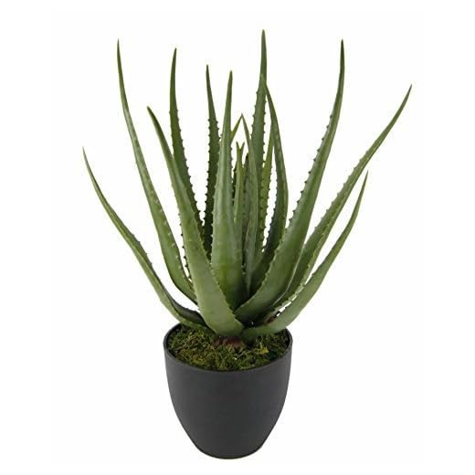 Flair Flower 151413 GN – Aloe I., plástico, Verde, 56 x 20 x 20 cm