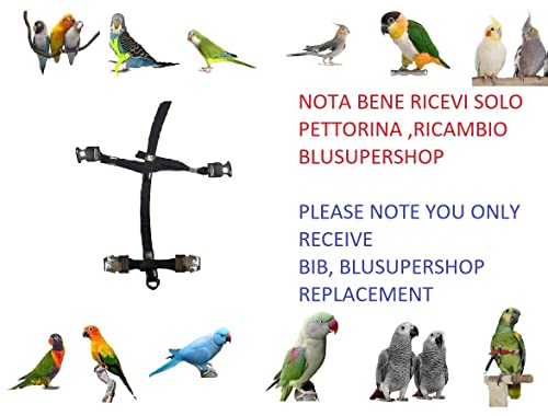 Harnais perroquet élastique pour promener votre Conure de soleil en liberté - 4