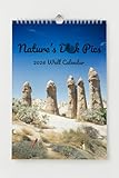 2026 Funny Offensive Wall Calendar - What a Bag of Nature's Dick Pic Calendars - Funny Gag Gift for Home Decor Office