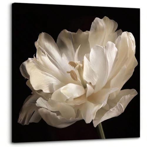 Toile florale de salle de bain 70x70 cm XINBAO pour une ambiance spa moderne