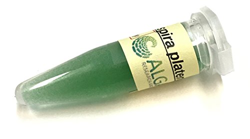 Algae Research Supply Algae Culture Spirulina, Perfect for School Science Fairs/Projects, Experiments & Classrooms (1.7mL)
