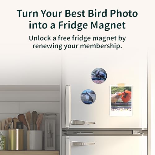 Smart Bird Feeder with Camera Solar Powered,2K UHD Video Live Stream,Easy Set Up,AI Bird Species Identification, Auto Capture Videos&5MP Photos,Instant Alerts,Gifts for Bird Lovers by vakiav - Image 8