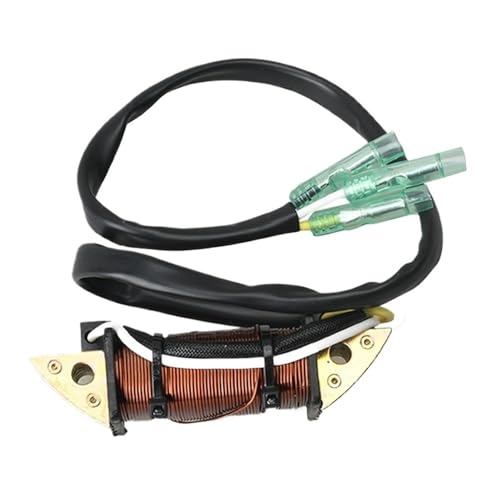 Bobine d'éclairage de moteur hors-bord 2 temps pour bateau de 9.9 à 18hp