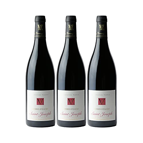 Saint-Joseph Terres d'Encre Rouge 2020 - Bio - Domaine Georges Vernay - Vin AOC Rouge de la Vallée du Rhône - Lot de 3x75cl - Cépage Syrah Cover