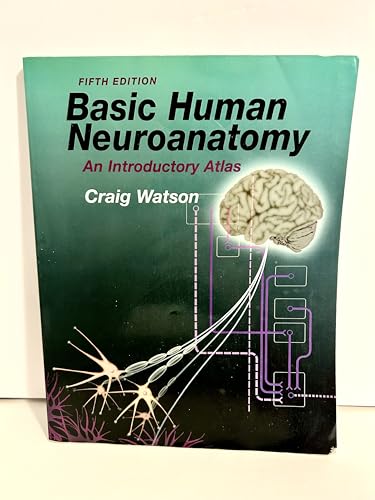 Image of Basic Human Neuroanatomy