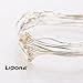 LIDORE Micro LED 20 Blue String Lights with Timer, Battery Operated on 7.87ft Long Silver Color Ultra Thin Copper Wire