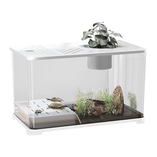 Aquarium - Großes Fischbecken, Desktop Kit | Panorama Transparent Behälter, HD Amphibienbecken mit Schildkröten Ruhebereich für Guppy Betta Wohnung Büro Zuhause