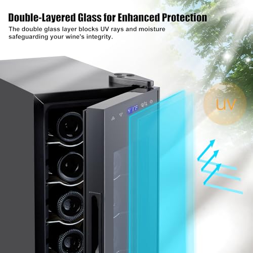 12 Bottle Compressor Wine Cooler Refrigerator with Lock, Freestanding Wine Fridge, 41°F-64°F Digital Temperature Control, Large Wine Cellar for Red, White, Champagne, and Sparkling Wine – Black on Fridge.com