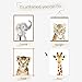Nursery Baby Room Wall Art Decor, Jungle Nursery Baby Animal of Tiger Lion Elephant Decorations, Nursery Safari Cute Animal Decor for Baby Bedroom (8