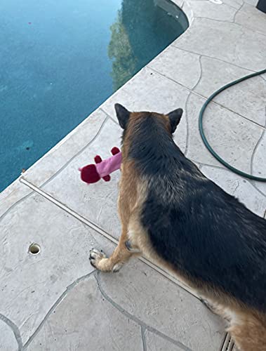 Jalousie 5 Pack Stuffingless Dog Squeaky Toys Dog Toy Dog W/ Durable Liner No Stuffing Dog Toy - Dog Toys For Pets Dogs No Stuffing Dog Squeaker Toy For Medium Large Dogs #TOP6