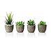 AmzKoi Sukkulenten Künstlich, 4 Stück Künstliche Pflanzen im Topf Umweltschonend Geruchlos Zimmerdeko, Klein Wohnzimmer Badezimmer Deko Pflanzen