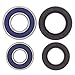 QBOSS WHEEL BEARING KIT (EA)
