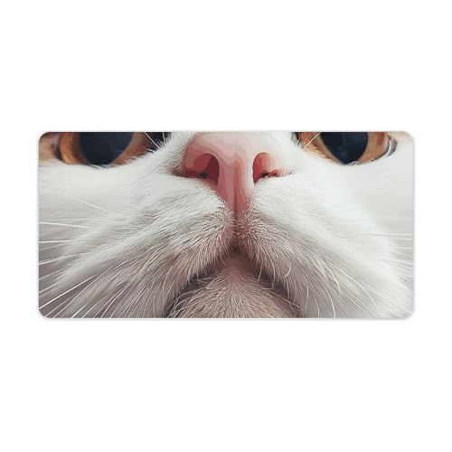 �u���E�� �L �� �f�X�N�}�b�g ����~�� ��^�f�X�N�p�b�h �v���e�N�^�[ �m�[�g�p�\�R���}�b�g �L�[�{�[�h�ƃ}�E�X�p �f�X�N���C�e�B���O�p�b�h �f�X�N�̐����ƃA�N�Z�T���[ �I�t�B�X�⎩��p