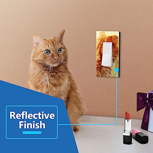 Image of LIDER Decorator Wall Plate, Impact Resistant, Plexiglass, Reflective Finish, Modern Upgrade, Screwless Light Switch /Outlet Cover, Mid-Size 1-Gang 4.88 inch x 3.11 inch, Acrylic, Mirror Glass Gold, 1-Pack