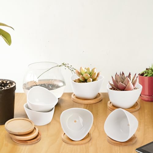 Foraineam Pacote com 12 mini vasos de suculentas, pequenos vasos de cerâmica para cactos, vasos de f