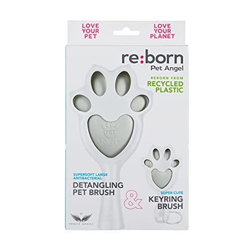 Tangle Angle Keyring Brush & Detangling Pet Brush Combo (B09G6YD5D5) Amazon Price History, Amazon Price Tracker