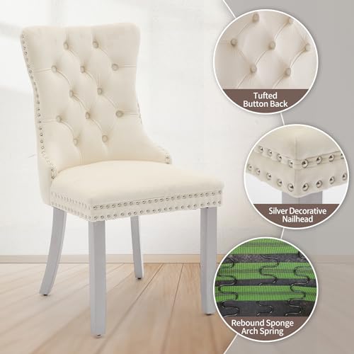MZDOO Velvet Dining Chairs Set of 2, High-end Tufted Upholstered Dining Chair with Back Ring Pull, Nailhead Trim and Silver Solid Wood Legs, Modern Dining Room Chairs for Dining Room, Cream