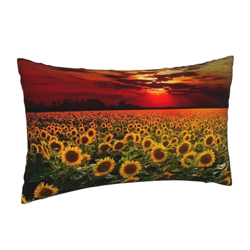 Housses de coussin coucher de soleil pour un salon ambiance cocooning