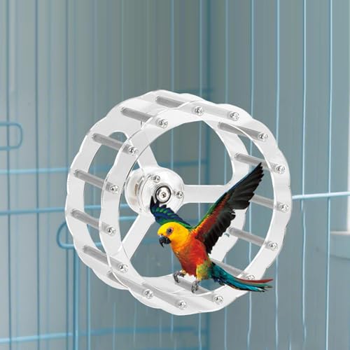 Roue de course pour perroquet silencieuse et stable de 19.5 cm pour stimuler son intelligence