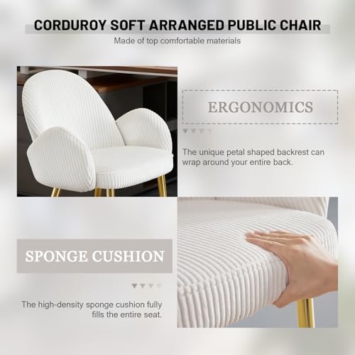 Image of Eifizek Home Office Chair, Modern Corduroy Upholstered Vanity Desk Chair with Gold Legs for Girls Women, Ergonomic Padded Backrest for Living Room, Beige